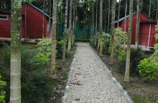Resort Jayanti Hills Jungle Camp Rajabhat Khawa 外观 照片