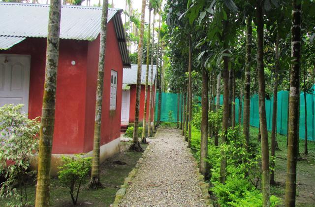 Resort Jayanti Hills Jungle Camp Rajabhat Khawa 外观 照片
